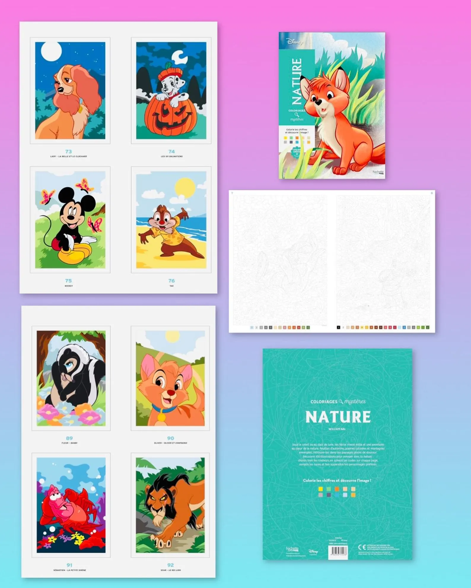 Vista previa del contenido de Fantasía Color PRO